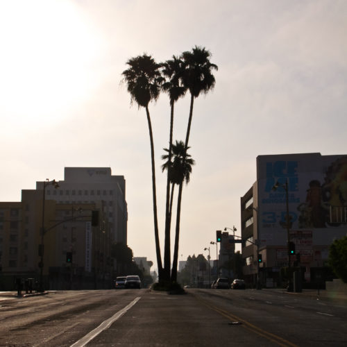 Stand Tall on Wishire