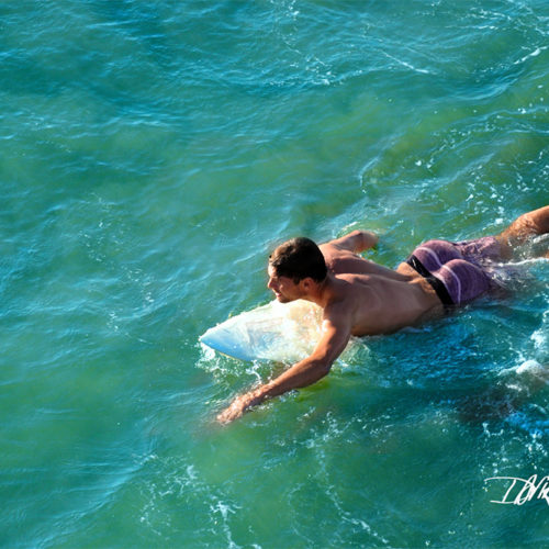 Venice Surfer - David J. Stine