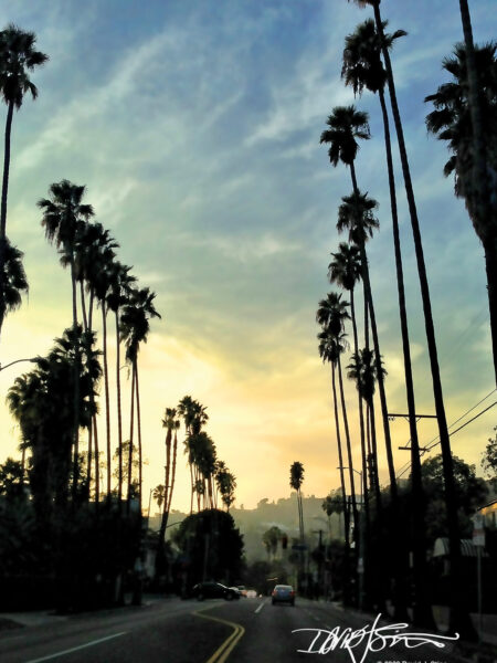 Image: Stand Tall on Hollywood by David J. Stine