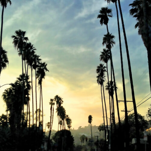 Image: Stand Tall on Hollywood by David J. Stine