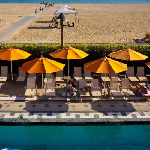 Image: Spots of Joy by David J Stine