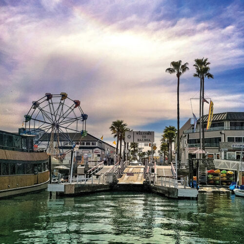 Image - The Taste of Summer - David J. Stine