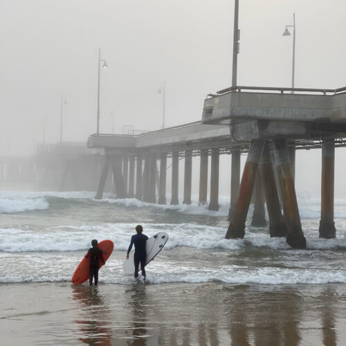 Image: Surf Companions